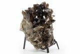 Dark Smoky Quartz Crystal Cluster on Metal Stand - Brazil #330462-1